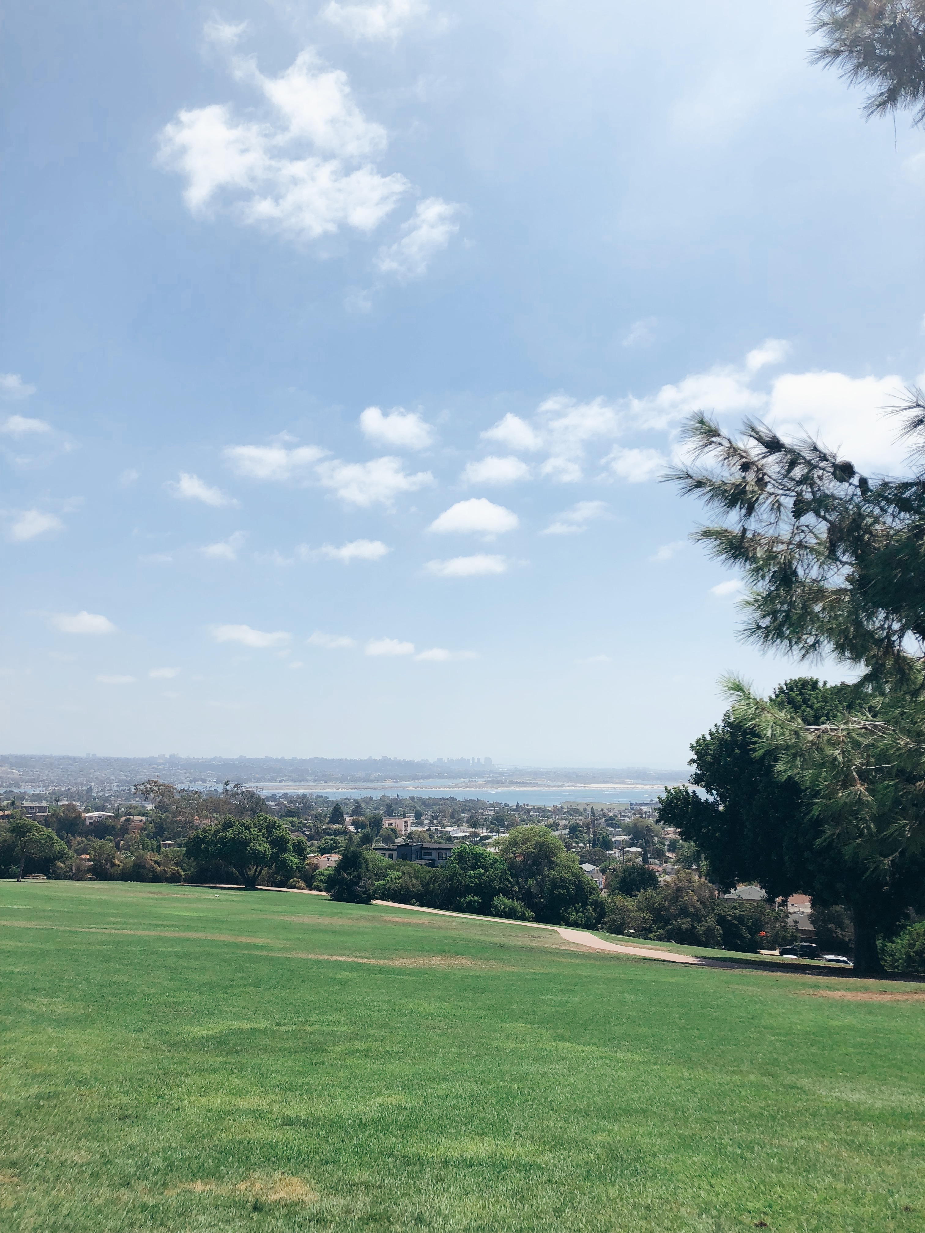 This image has an empty alt attribute; its file name is img_6025.jpg